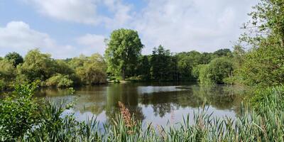 Natuurwandeling 2024