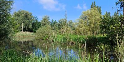 Natuurwandeling 2024