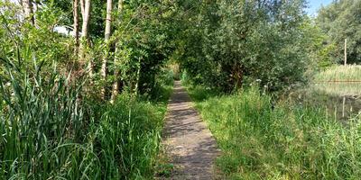 Natuurwandeling 2024