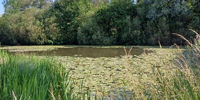 Natuurwandeling 2024