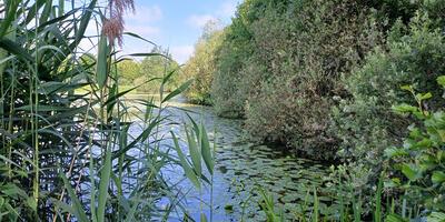 Natuurwandeling 2024