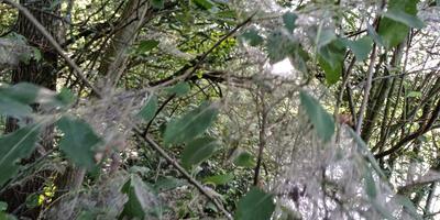 Natuurwandeling 2024