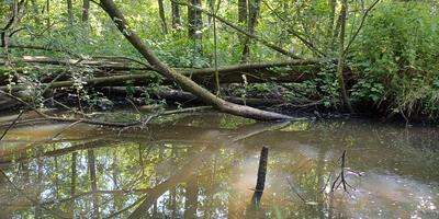 Natuurwandeling 2024