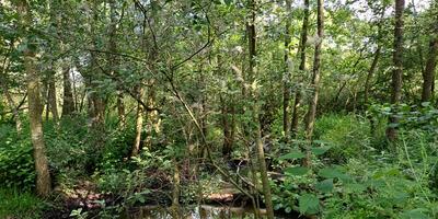 Natuurwandeling 2024