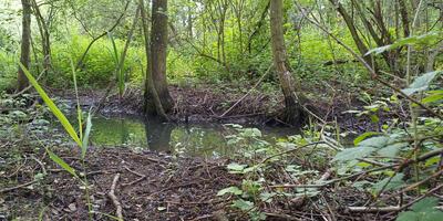 Natuurwandeling 2024