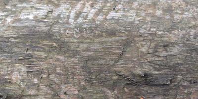 Natuurwandeling 2024