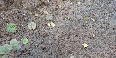 Natuurwandeling 2024