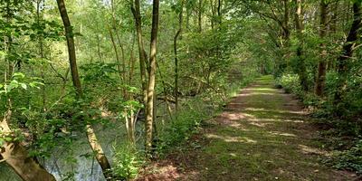 Natuurwandeling 2024