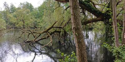 Natuurwandeling 2024