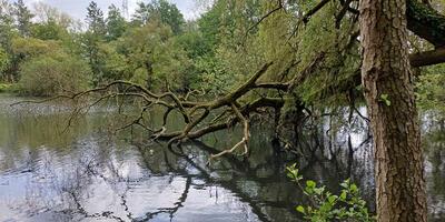 Natuurwandeling 2024
