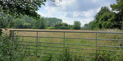 Natuurwandeling 2024