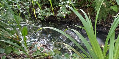 Natuurwandeling 2024