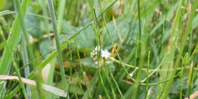 Natuurwandeling 2024