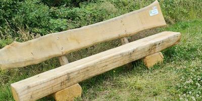 Natuurwandeling 2025