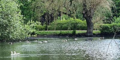 Natuurwandeling 2024