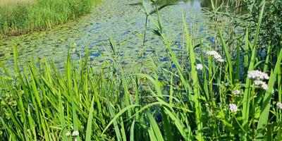 Natuurwandeling 2024