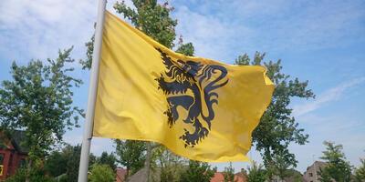 leeuwenvlag