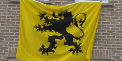 leeuwenvlag